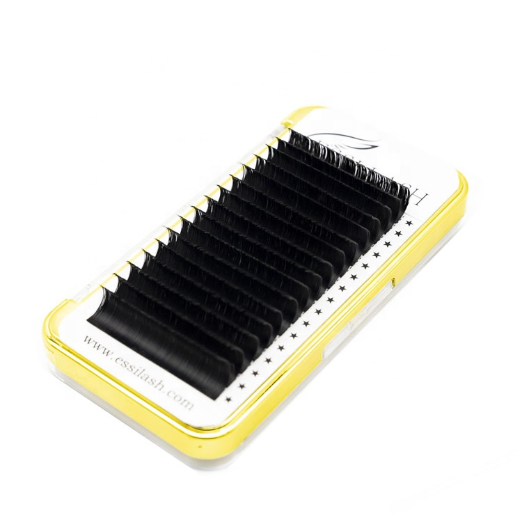 ESSI 1s Blooming Lashes Wholesale Vendor Volume Eyelashes 0.05 0.07 Easy Fanning Eyelash Extension 